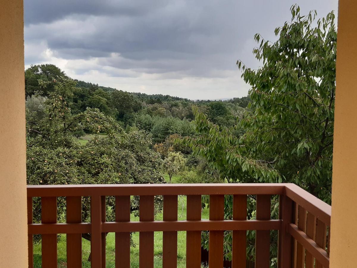 Apartmany U Zvonicky Prachov ภายนอก รูปภาพ